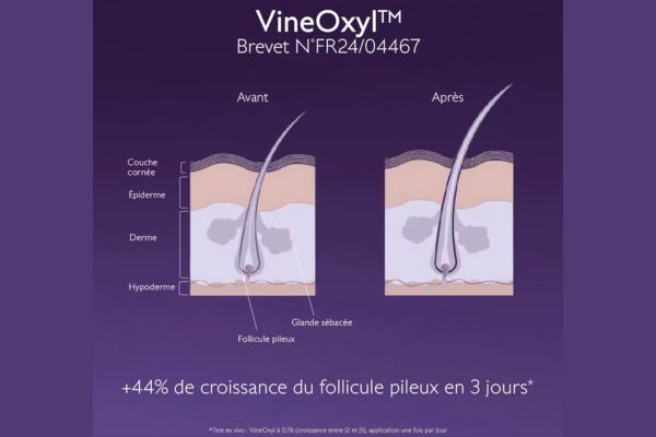 brevet Caudalie VineOxyl